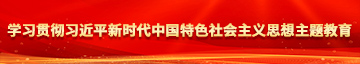 大鸡巴操小b学习贯彻习近平新时代中国特色社会主义思想主题教育